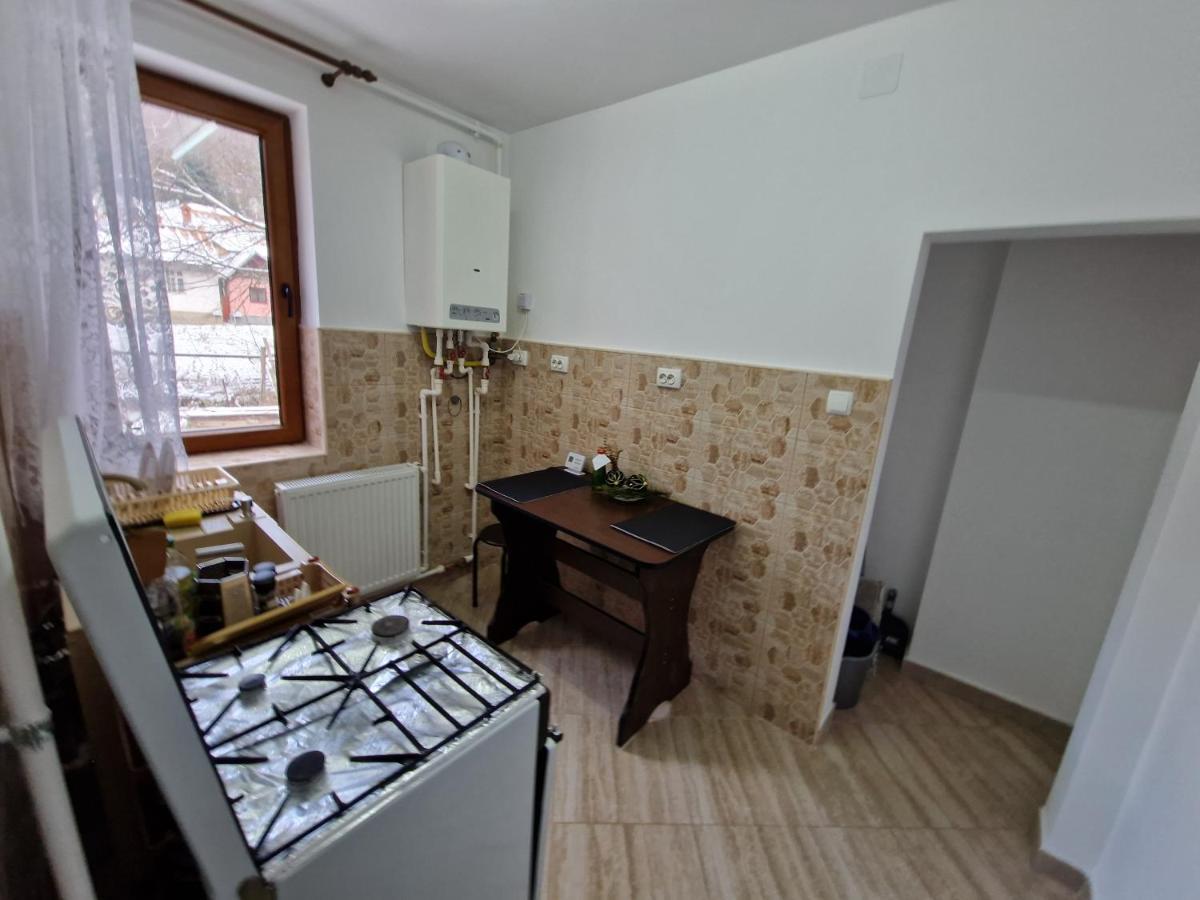 Apartamentul Florilor De Fan Azuga Exterior photo